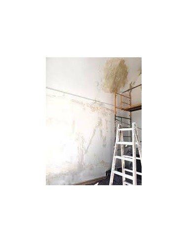 CONSEJOS PINTAR PAREDES EN MAL ESTADO